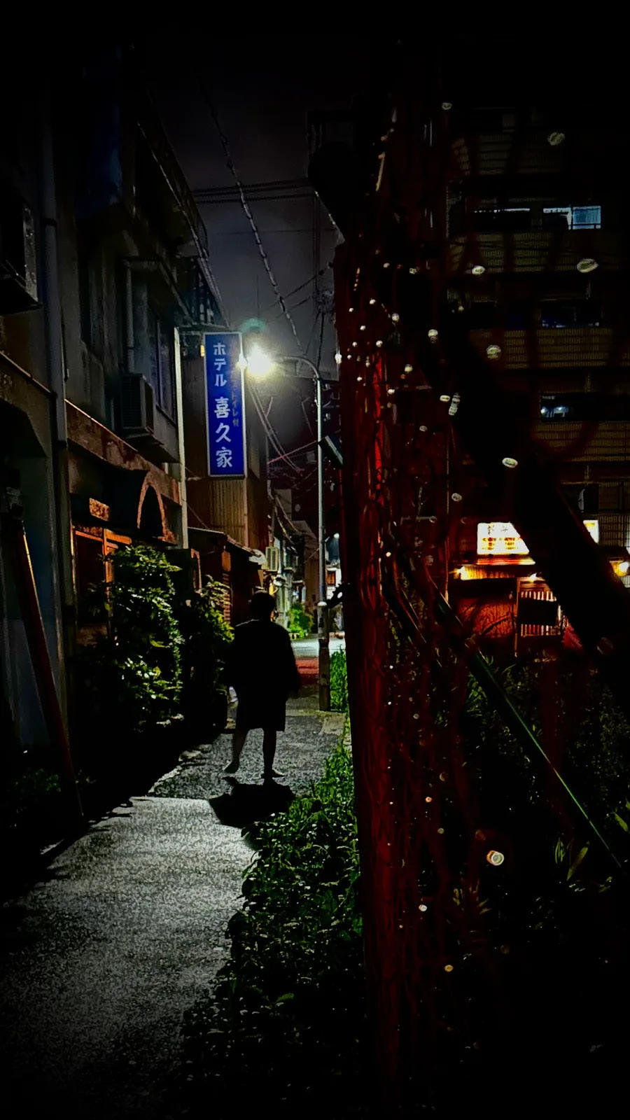 大阪市 · 大阪市, 日本 · 2024-06-29